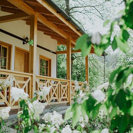 Cosama Village Сигишоара Екстериор снимка