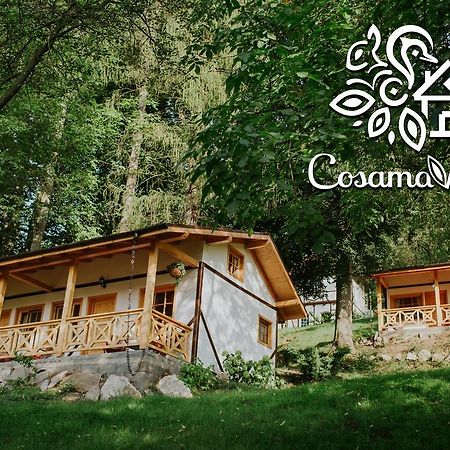 Cosama Village Сигишоара Екстериор снимка